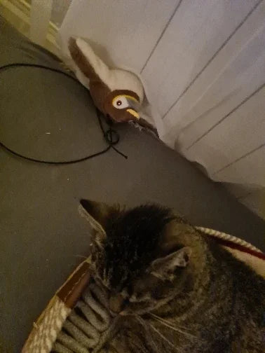 Jouet Interactif pour Oiseaux Destiné aux Chats — photo d'un client 3